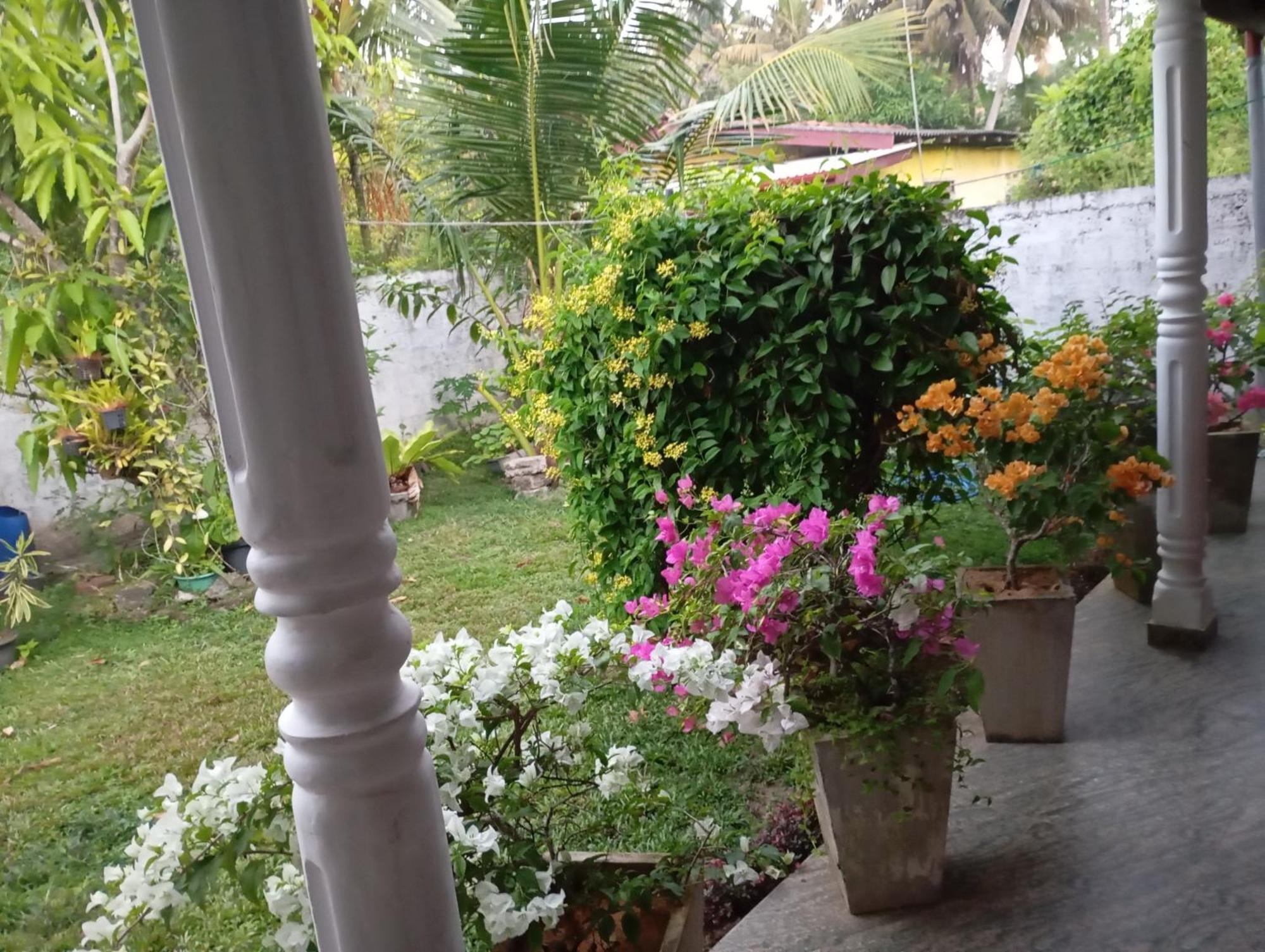 Southern Beach Surf Lodge Ahangama Exterior foto